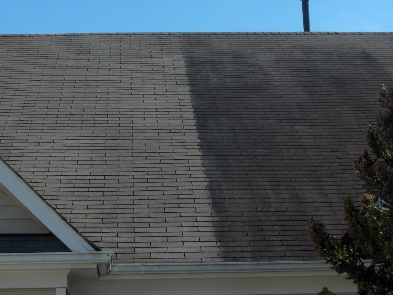 Roof cleaning - asphault, cedar shake, tile. Cleaning done with bio-degradable materials and  very low pressure rinse, 2 year written guarantee. 