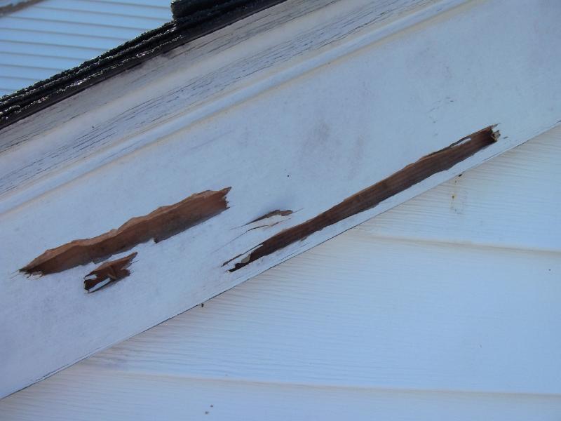 Repair/replace wood damage and wood rot.